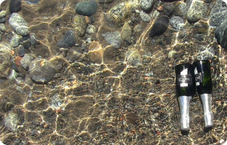 "Refrescando para el festejo"
Lago Huechulafquen - Junin de los Andes