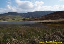 small lakes and streams, KwaZulu-Natal, South Africa
