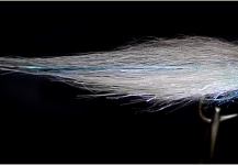 Kuba Hübner 's Fly-tying for Perch - Image – Fly dreamers 