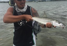 Fly-fishing Picture of Bonefish shared by Jesse Cheape – Fly dreamers