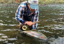 Kimbo May 's Fly-fishing Photo of a Steelhead – Fly dreamers 