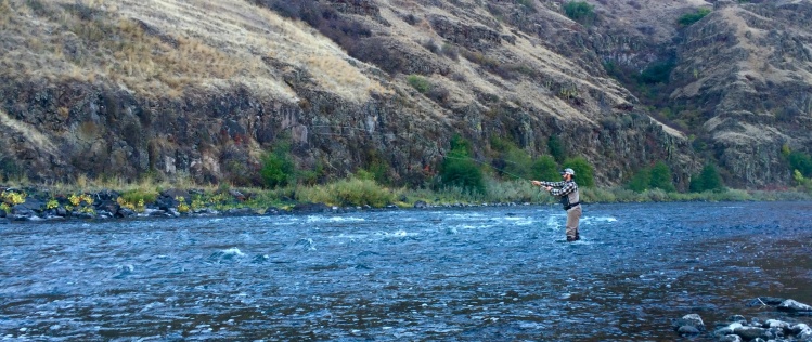 Kris casting his switch rod on the Grande Ronde