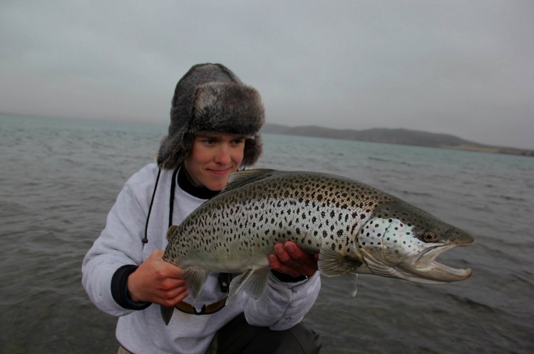 Nice brown trout from lake Thingvallavatn, Iceland. Taken on a #16 nymph and a #5 ArcticSilver rod. 
Please follow me on Instagram, username: eliaspeturth