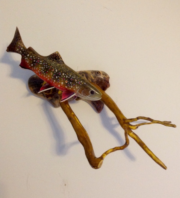 Six inch Brookie, presented on a Japenese Barberry bush root.