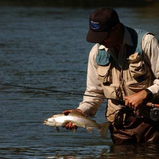 Fly fishing picture