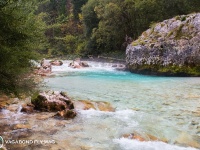 Fly fishing picture