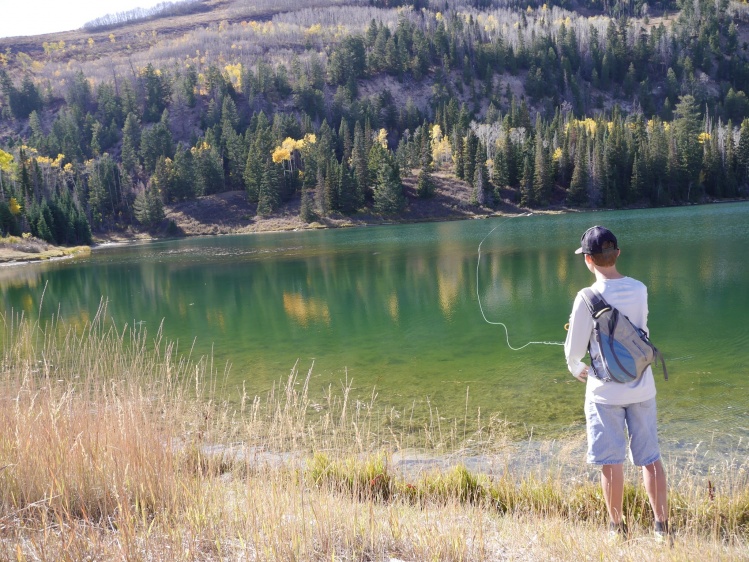 Sight fishing tigers at 9,500 ft in Central Utah.