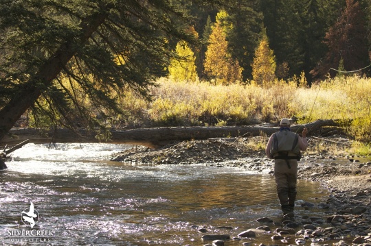 Princess fishing' where the Big Wood River flows - The Sonoma