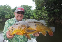 Roberto Véras 's Fly-fishing Image of a Peacock Bass – Fly dreamers 