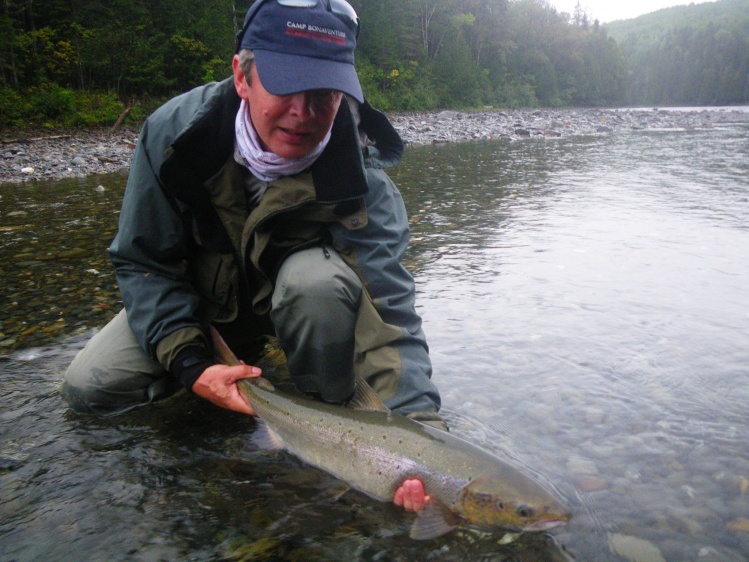 salmon on dry fly - canada -september 2015