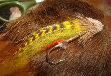 Diego Delbaldo 's Fly-tying for Sea-Trout - Image – Fly dreamers 