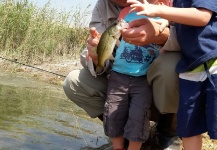 Great Fly-fishing Situation of bass wielkgebowy - Image shared by Oliver Otto – Fly dreamers