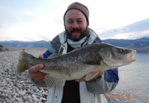 Guillermo Hermoso 's Fly-fishing Photo of a Patagonia Bass – Fly dreamers 