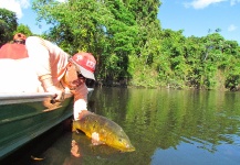  Fotografía de Pesca con Mosca de Tucunare - Pavón compartida por Roberto Véras – Fly dreamers