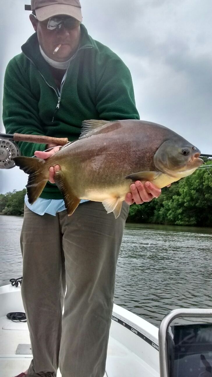 pacu de salida de invierno