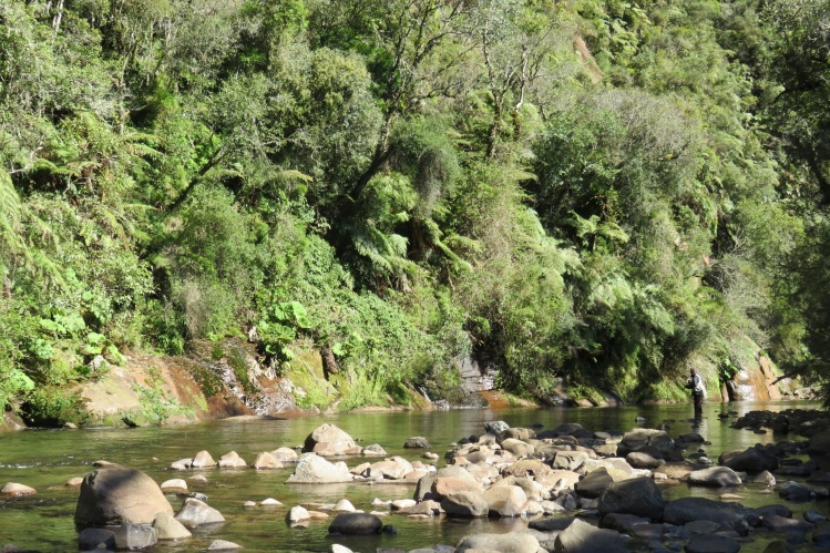 Canoas River, Urubici, Southtern Brazil. Fishing: Rainbow Trout. Fisherman: Guilherme Sartori.