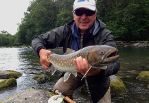  Imagen de Pesca con Mosca de Salvelinus leucomaenis japonicas compartida por Basyl Bykau – Fly dreamers