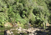  Imagen de Situación de Pesca con Mosca por Rafael Arruda – Fly dreamers