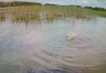  Interesante Situación de Pesca con Mosca de Tararira– Foto por Santiago Esteves en Fly dreamers