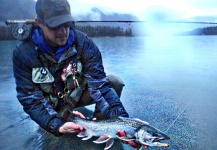 Fly-fishing Photo of Dolly Varden shared by Luke Metherell – Fly dreamers 