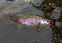  Mira esta Interesante foto de Pesca con Mosca de Basyl Bykau