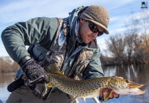 Black Fly Eyes Flyfishing 's Fly-fishing Catch of a Pike – Fly dreamers 
