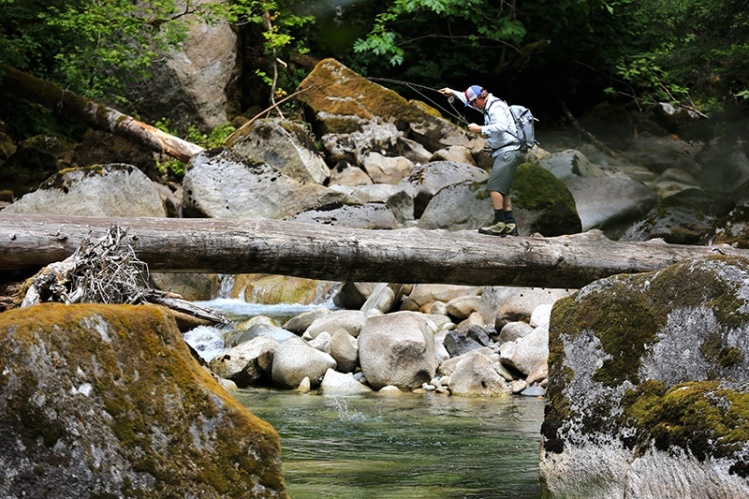 EWA guide Zach Rhoades with the birds eye view of this trout take on one of our favorite small streams, an hour outside of Seattle.