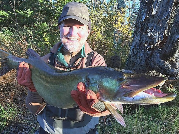 Another victim of Bill Sherer's Figure 8 musky fly.  Boulder Jct., Wisconsin.