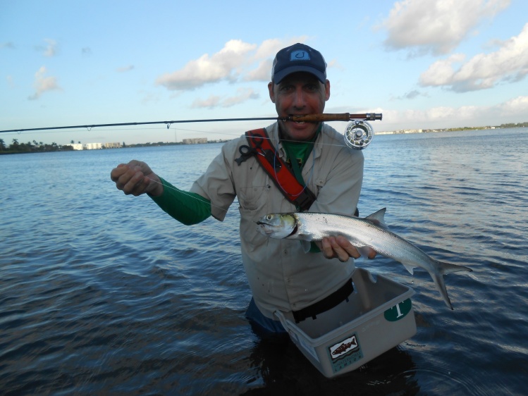 75ft into backing....nice ladyfish on 3wt....almost as much fun as you can have with a flyrod in your hand