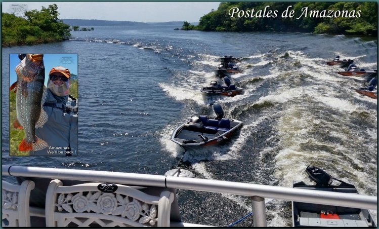 Afluentes Rio Uatumá - Amazonas 2015