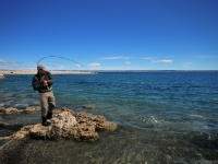 Foto de pesca con mosca