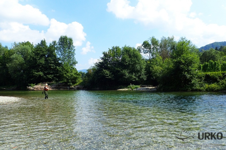Stunning scenery ...
Savinja river (Angling Club Ljubno)
