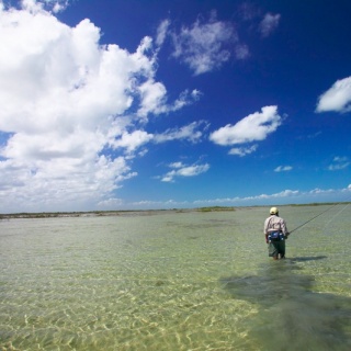 Fly fishing in the flats - Ascension Bay Bonefish Club