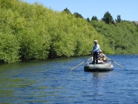 Foto de pesca con mosca