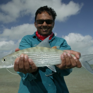 Bonefish Fly fishing - Ascension Bay Bonefish Club