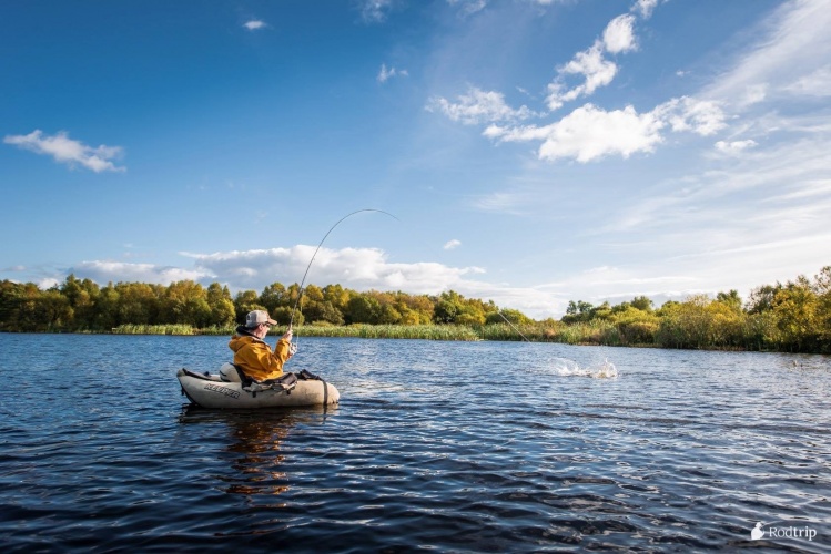 Pike fishing