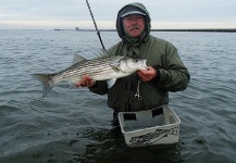 Jack Denny 's Fly-fishing Photo of a Striper – Fly dreamers 