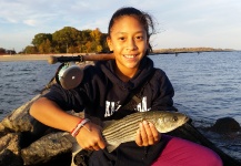 Fly-fishing Picture of Striper shared by Chanan Nycdentwerks – Fly dreamers