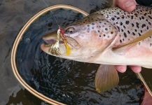 Fly-tying for Loch Leven trout German - Photo by Leandro Herrainz – Fly dreamers 