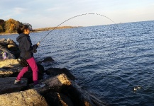 Striper Fly-fishing Situation – Chanan Nycdentwerks shared this Impressive Image in Fly dreamers 