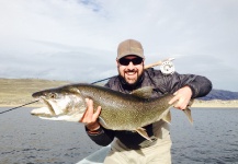 Justin Taylor 's Fly-fishing Picture of a siscowet – Fly dreamers 