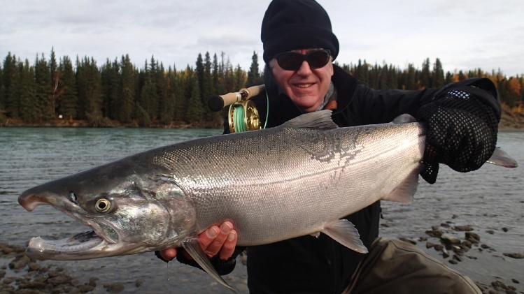 Kenai River, Alaska - coho (silver) salmon caught swinging an unweighted intruder fly with an Orvis 8 wt switch rod. 