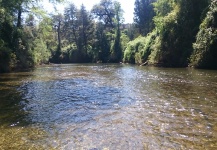 Río Negro, sector de San Juan de la Costa, Región de los Lagos, Chile