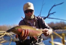 Fly-fishing Picture of Rainbow trout shared by Jared Martin – Fly dreamers