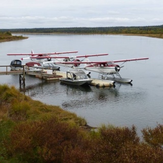 Our fleet of 3 De Havilland Beavers