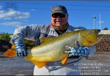 Fly-fishing Photo of Freshwater dorado shared by Horacio Fernandez – Fly dreamers 