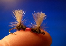 Fly-tying for Rainbow trout - Picture shared by Carlos Estrada – Fly dreamers