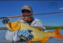 Horacio Fernandez 's Fly-fishing Image of a Tiger of the River – Fly dreamers 