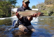 Diego Soto 's Fly-fishing Pic of a Rainbow trout – Fly dreamers 