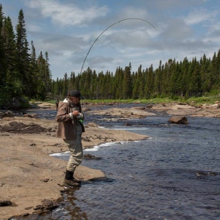 Fly fishing picture